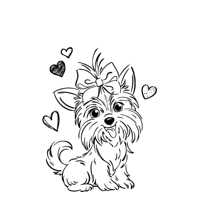 Йорк 2